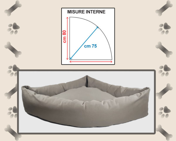 207M - immagine 2