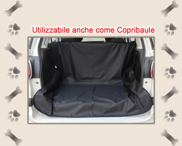 210AP1 - immagine 2