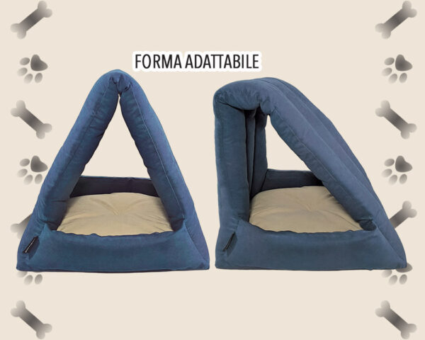 350A - immagine 2
